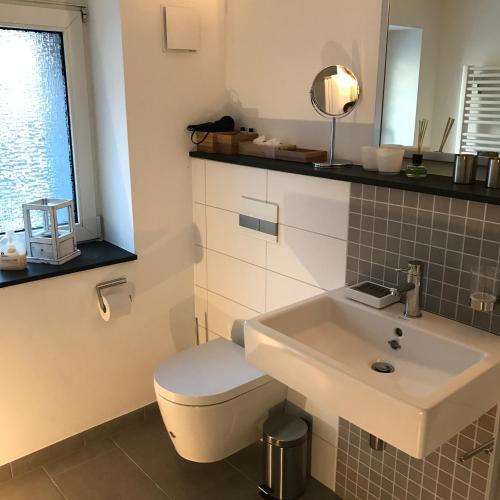 a bathroom with a toilet and a sink at Wander- und Aktivchalet in Birkenfeld