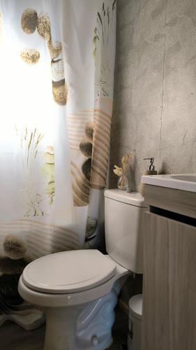 a bathroom with a toilet and a shower curtain at Elimar Ocean View in Valdivia