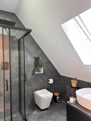 a bathroom with a toilet and a sink at Modernes Apartment am Bodensee in Singen