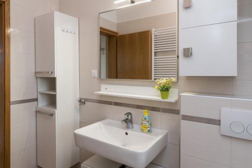 Apartment Bajcici 13639a
