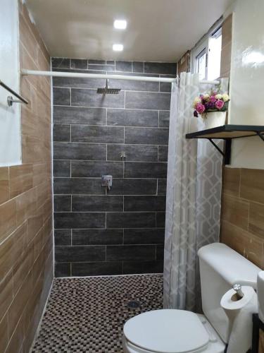 a bathroom with a shower with a toilet and a sink at Casa Corazon Centro in Oaxaca City