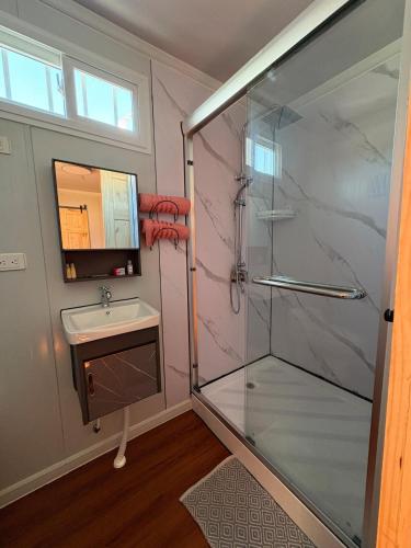 a bathroom with a glass shower and a sink at Leha's Apartaments in Buenos Aires