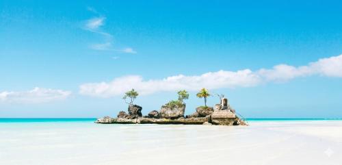 a small island with palm trees on a beach at PNS BORACAY Station 1 in Boracay