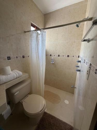 a bathroom with a toilet and a shower at Gated house with garden and pool Mérida in Caucel