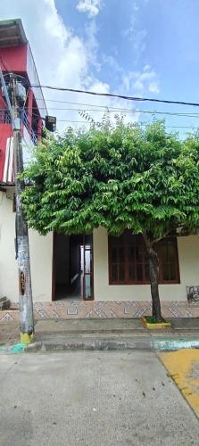 a large tree in front of a building at Apartamento Brisa y Mar 2 in Arboletes