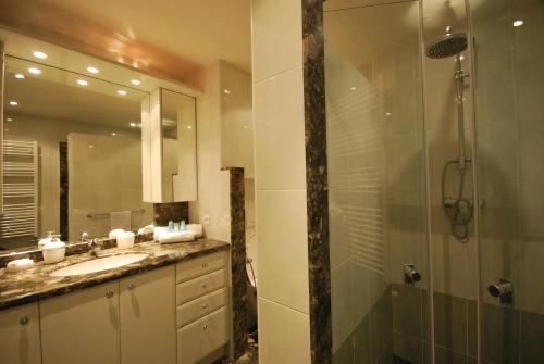 カンヌにある1 Bedroom Apartment - Les Jardins de la Croisetteのバスルーム(シャワー、シンク、鏡付)