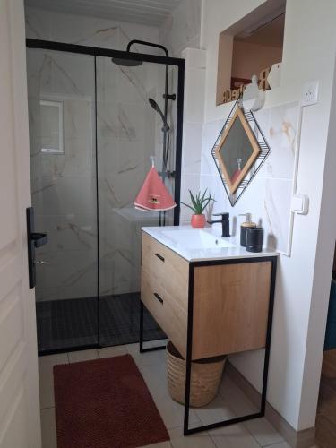 a bathroom with a shower and a sink and a mirror at La Parenthèse 2 Rêves in Saint-Joseph
