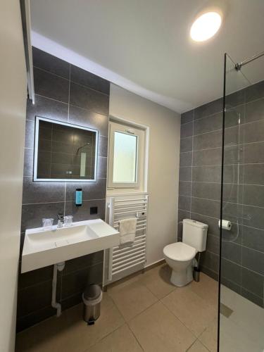 a bathroom with a sink and a toilet at Le Moulin de Barette - Blavozy, 43700 Le Puy-en-Velay in Blavozy