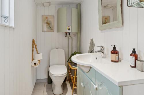 a bathroom with a toilet and a sink at Classic Danish Holiday Home in Karrebæksminde
