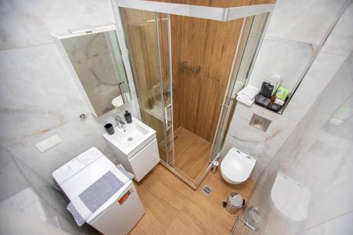an overhead view of a bathroom with a shower and a toilet at Green Almond D1 in Orfánion