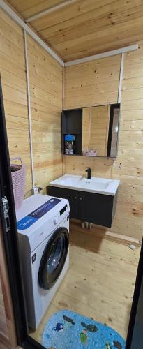 a bathroom with a washing machine and a sink at Cottage Sunset 2 in Sakhalvasho