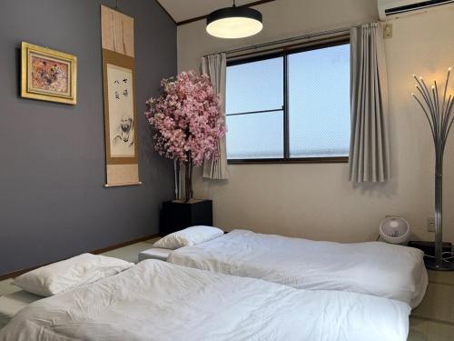 ZenAbode Tokiwa205 3 min walk from station Local restaurant