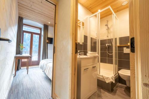 a bathroom with a shower and a sink and a toilet at Hotel la Pointe Percee in Le Grand-Bornand