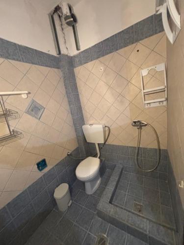 a bathroom with a toilet and a shower at Val beach apartment in Nea Potidaea