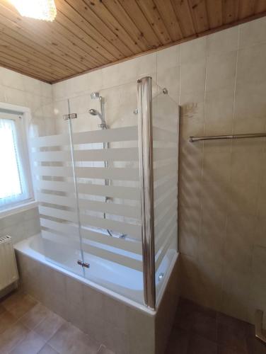 a bathroom with a shower and a bath tub at Apartment Nido in Selva di Val Gardena