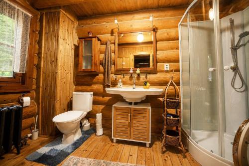 a bathroom with a toilet and a sink and a shower at Pohádkový Srub Salaš in Salaš