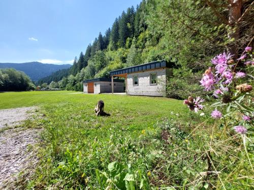 a dog sitting in the grass in front of a building at Camp ŠMICA in Luče