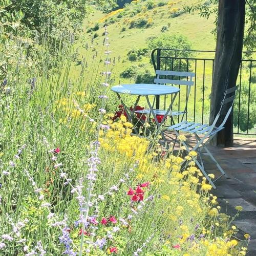 a picnic table and bench in a field of flowers at Studio in Tuscan farmhouse with pool in Monteguidi