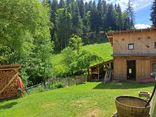 a barn in a field next to a forest at Hüthis Waldidylle in Dambach
