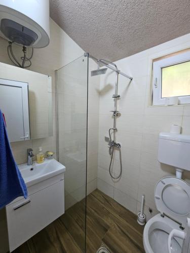 a bathroom with a shower and a toilet and a sink at Holiday home Ramovic in Virpazar