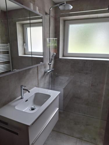 a bathroom with a sink and a shower at Appartement Milli in Längenfeld