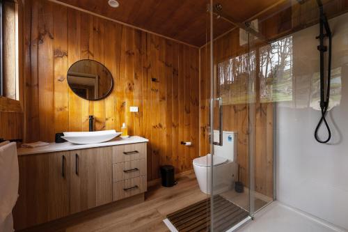 a bathroom with a toilet and a sink and a shower at Rivendell Cottage - Off Grid cabin in Jackeys Marsh