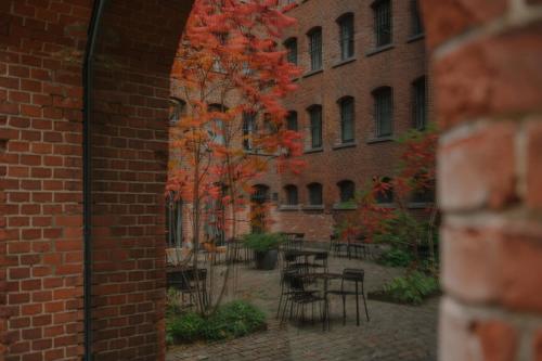 Wilmina Hotel photo 77