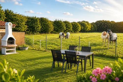 CUXHomes ǀ Da will ich hin ǀ Nordseeurlaub in Cuxhaven-Sahlenburg photo 18