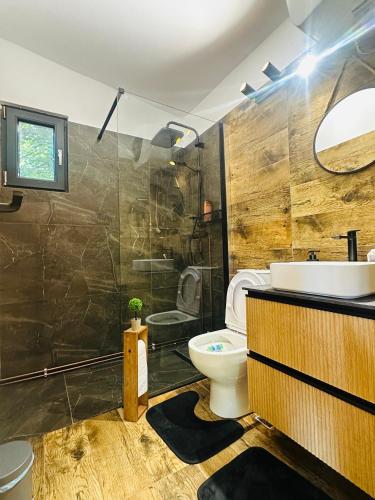 a bathroom with a toilet and a sink and a shower at Wood Nest Curtea de Argeș - Cabană de vacanță în natură in Curtea de Argeş