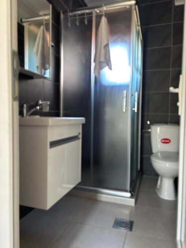 a bathroom with a shower and a toilet and a sink at Kale Apartments Trpejca SUP and bikes included in Ohrid