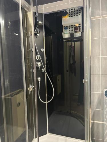 a shower with a glass door in a bathroom at Le cocon du télésiège - Piscine chauffée - Métabief in Métabief