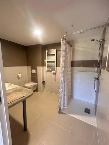 a bathroom with a shower and a sink and a toilet at B&B Angueur in Montrem