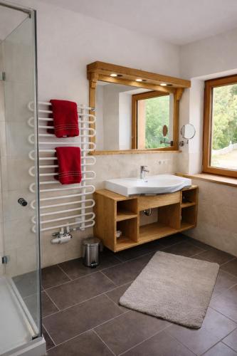 a bathroom with a sink and a shower and a mirror at Chalet Leni in Schladming