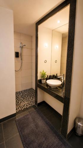 a bathroom with a sink and a mirror at Pension Nippgen in Radebeul