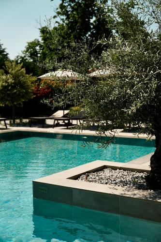 a swimming pool with a tree in the middle of it at THERMA NUMERA Mineral SPA & Longevity in Burgas
