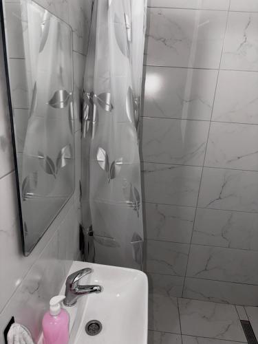 a bathroom with a sink and a shower with a mirror at Apartman City 2 With 2 Bedrooms and Free Parking in Negotin