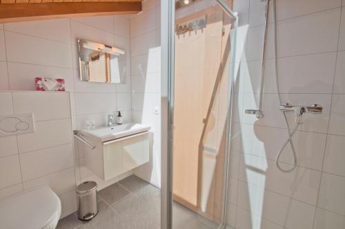 Apartment Dufour