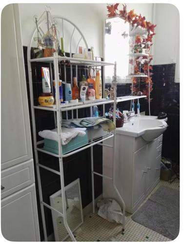 a bathroom with a sink and a shelf with towels at Chambre calme Beauval Chateaux in Montrichard