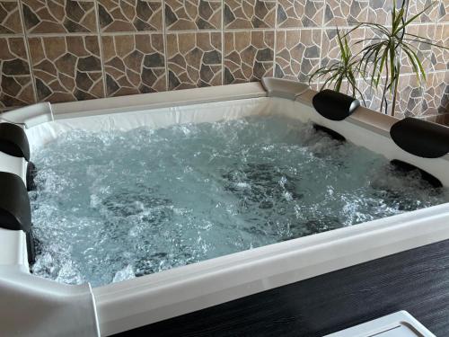 a bath tub filled with water in a bathroom at Dragoljski Konaci in Dragolj