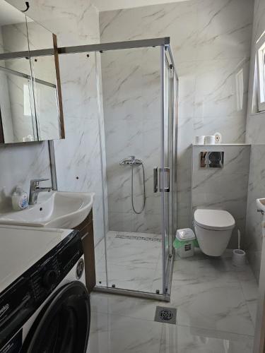 a bathroom with a shower and a sink and a toilet at Vesna Lake Apartments in Veles