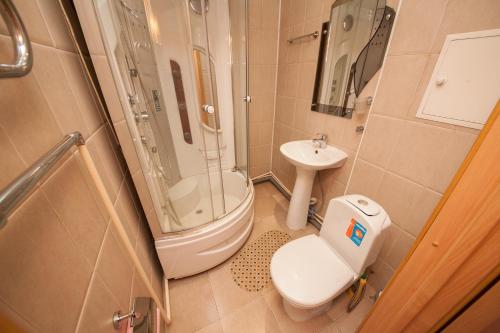 a bathroom with a toilet and a shower and a sink at Apartamenty na Ady Lebedevoy in Krasnoyarsk