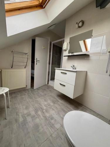 a kitchen with a sink and a toilet in a room at Le Lion D'or in Ouroux