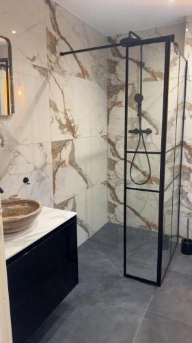 a bathroom with a shower and a sink at Large studio in Obernai in Obernai