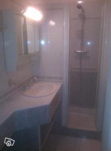 a bathroom with a sink and a shower with a mirror at Appartement avec terrasse 42m2 in Saint-Martin-de-Valamas