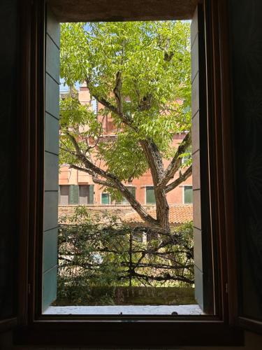 Golden Venezia Guest Rooms photo 38
