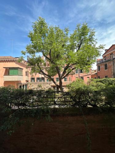 Golden Venezia Guest Rooms photo 44