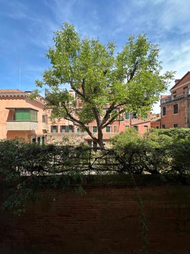 Golden Venezia Guest Rooms photo 34