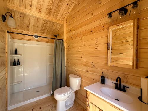 a bathroom with a toilet and a shower and a sink at Seneca Gorge Glamping in Hector