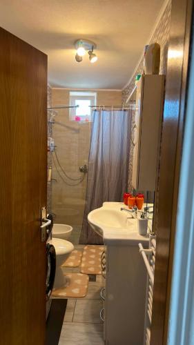 a bathroom with a sink and a toilet and a shower at Apartma SAAAN in Šempas