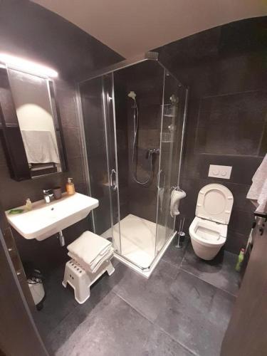 a bathroom with a shower and a toilet and a sink at Apartman Jasan Spot in Železná Ruda